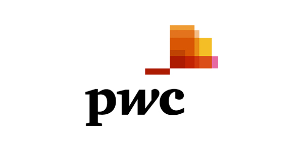 PwC japan Group